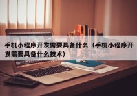 手机小程序开发需要具备什么（手机小程序开发需要具备什么技术）