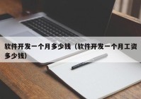 软件开发一个月多少钱（软件开发一个月工资多少钱）