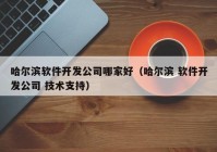 哈尔滨软件开发公司哪家好（哈尔滨 软件开发公司 技术支持）