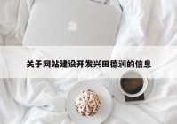 关于网站建设开发兴田德润的信息