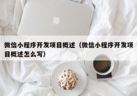 微信小程序开发项目概述（微信小程序开发项目概述怎么写）