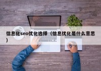 信息化seo优化选择（信息优化是什么意思）