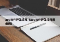 app软件开发流程（app软件开发流程图示例）