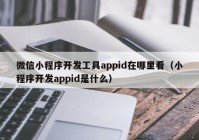 微信小程序开发工具appid在哪里看（小程序开发appid是什么）