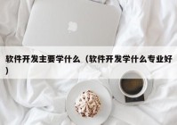 软件开发主要学什么（软件开发学什么专业好）