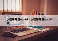 小程序开发appid（小程序开发app开发）