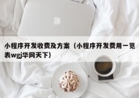 小程序开发收费及方案（小程序开发费用一览表wgj华网天下）
