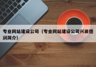 专业网站建设公司（专业网站建设公司兴田德润简介）