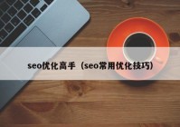 seo优化高手（seo常用优化技巧）