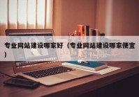 专业网站建设哪家好（专业网站建设哪家便宜）