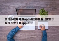 微信小程序开发appid在哪里看（微信小程序开发工具appid）