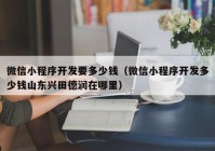 微信小程序开发要多少钱（微信小程序开发多少钱山东兴田德润在哪里）
