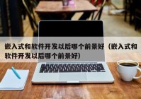 嵌入式和软件开发以后哪个前景好（嵌入式和软件开发以后哪个前景好）