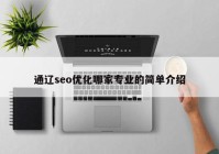 通辽seo优化哪家专业的简单介绍
